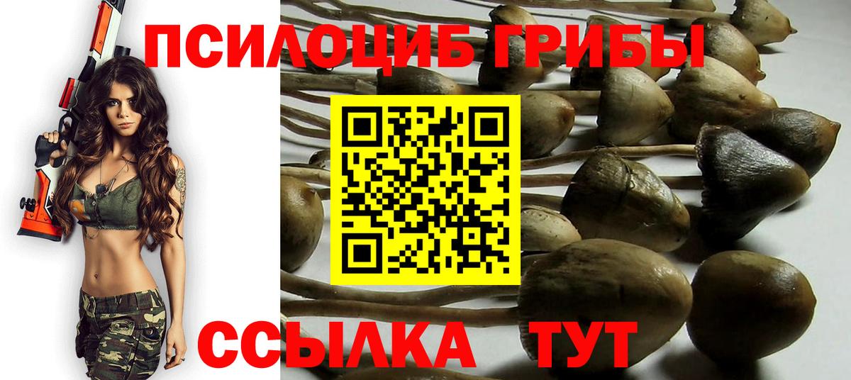 Галлюциногенные грибы Psilocybine cubensis Янаул